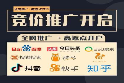 百度SEO推广公司案例解析：实战优化技巧全解读